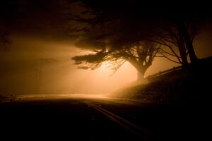 immagine del giardino delle ombre nell'audioracconto  "il luogo delle ombre"